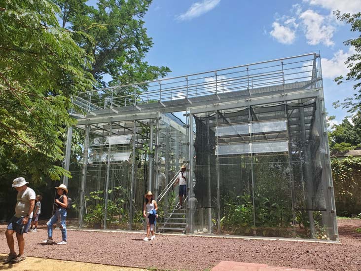 Invernadero/Greenhouse, Jard&iacute;n Etnobot&aacute;nico de Oaxaca, Oaxaca, M&eacute;xico, August 19, 2023