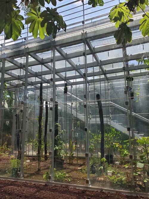 Invernadero/Greenhouse, Jard&iacute;n Etnobot&aacute;nico de Oaxaca, Oaxaca, M&eacute;xico, August 19, 2023