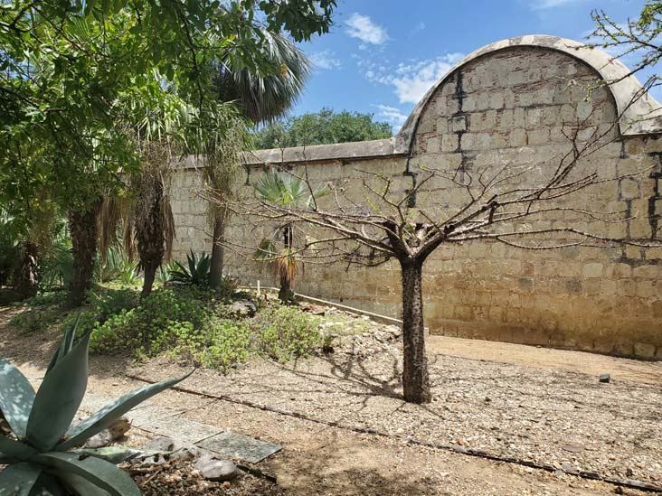 Jard&iacute;n Etnobot&aacute;nico de Oaxaca, Oaxaca, M&eacute;xico, August 19, 2023