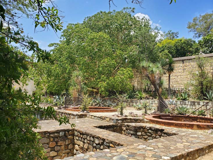 Jard&iacute;n Etnobot&aacute;nico de Oaxaca, Oaxaca, M&eacute;xico, August 19, 2023