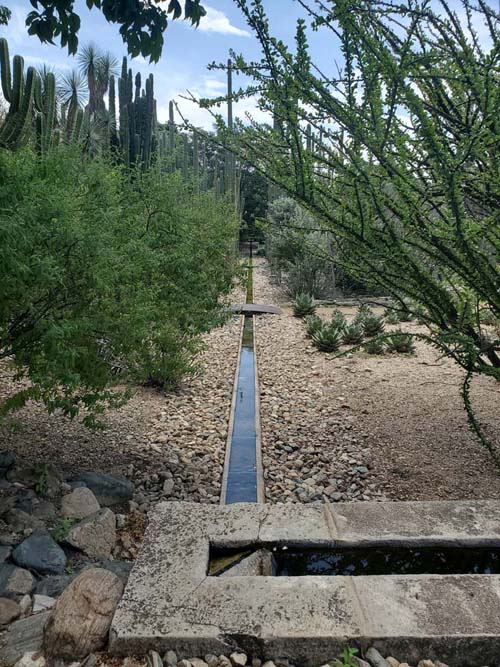 Jard&iacute;n Etnobot&aacute;nico de Oaxaca, Oaxaca, M&eacute;xico, August 19, 2023