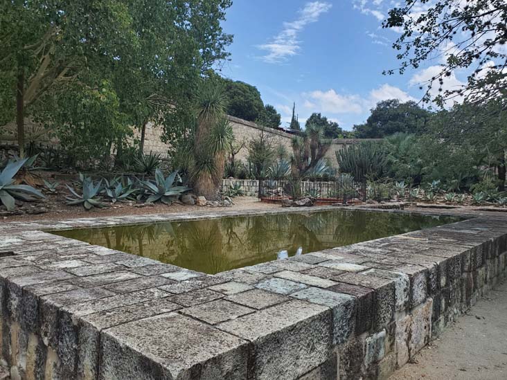 Jard&iacute;n Etnobot&aacute;nico de Oaxaca, Oaxaca, M&eacute;xico, August 19, 2023