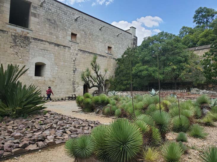 Jard&iacute;n Etnobot&aacute;nico de Oaxaca, Oaxaca, M&eacute;xico, August 19, 2023