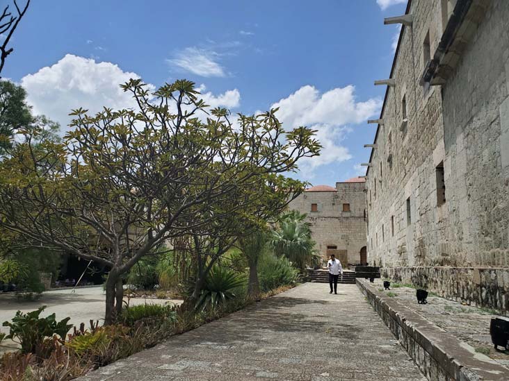 Jard&iacute;n Etnobot&aacute;nico de Oaxaca, Oaxaca, M&eacute;xico, August 19, 2023