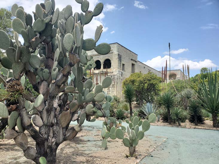 Jard&iacute;n Etnobot&aacute;nico de Oaxaca, Oaxaca, M&eacute;xico, August 19, 2023