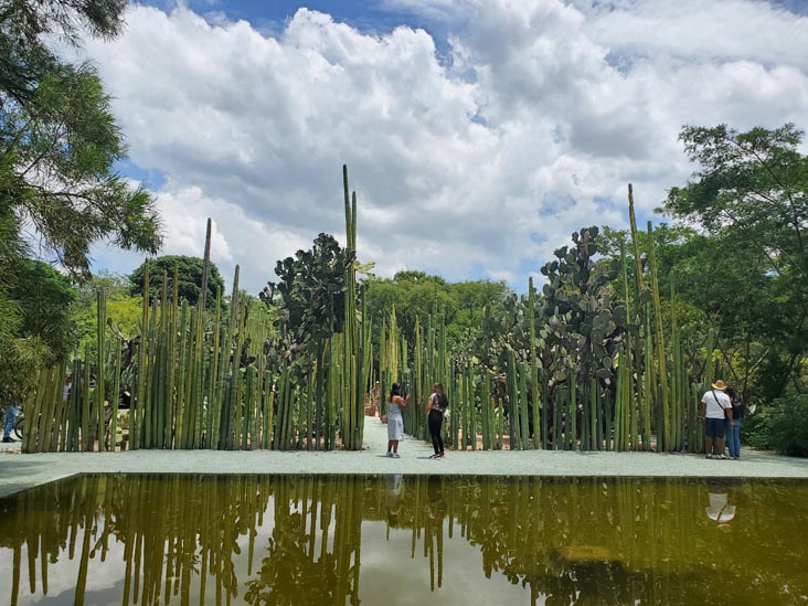 Jard&iacute;n Etnobot&aacute;nico de Oaxaca, Oaxaca, M&eacute;xico, August 19, 2023