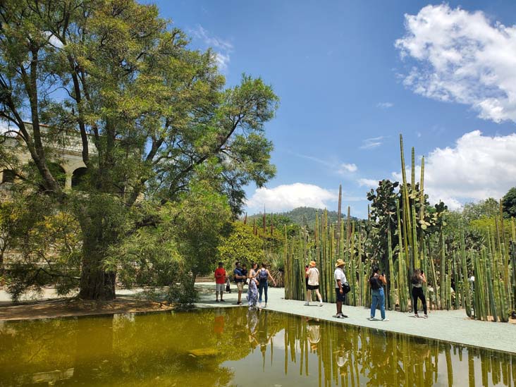Jard&iacute;n Etnobot&aacute;nico de Oaxaca, Oaxaca, M&eacute;xico, August 19, 2023
