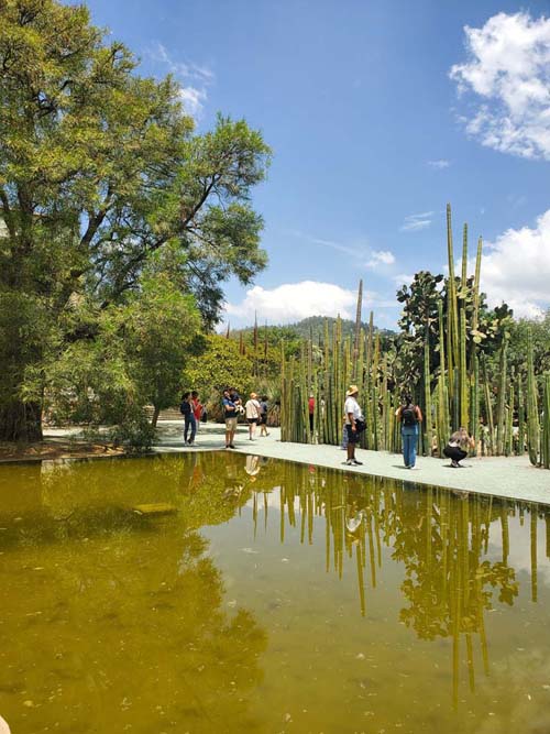 Jard&iacute;n Etnobot&aacute;nico de Oaxaca, Oaxaca, M&eacute;xico, August 19, 2023