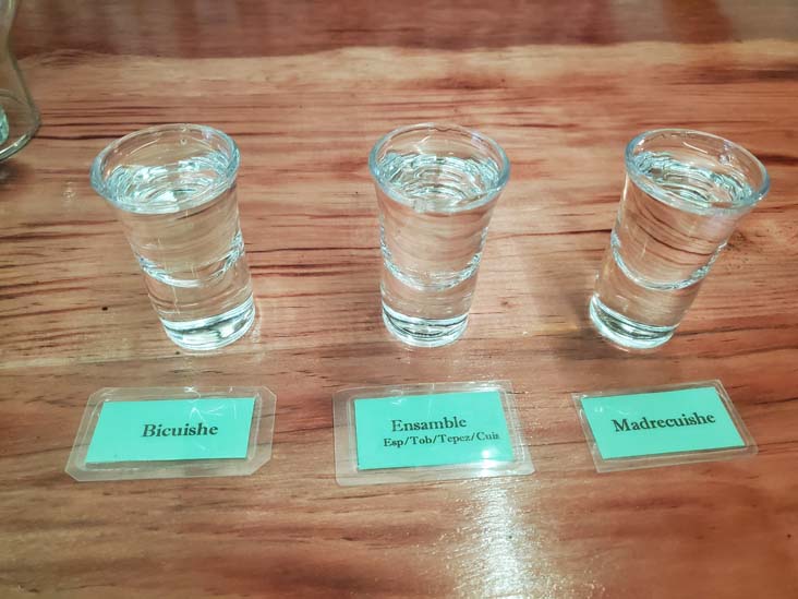 La Mezcaler&iacute;a, Oaxaca, M&eacute;xico, August 18, 2023