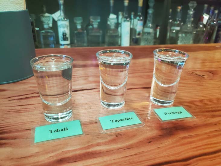 La Mezcaler&iacute;a, Oaxaca, M&eacute;xico, August 18, 2023