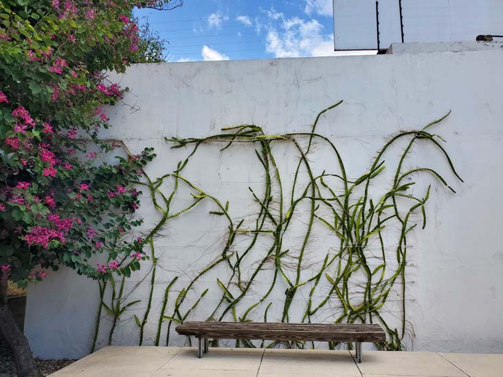 Museo de Filatelia de Oaxaca, Calle de la Constituci&oacute;n 201, Oaxaca, M&eacute;xico, August 21, 2023