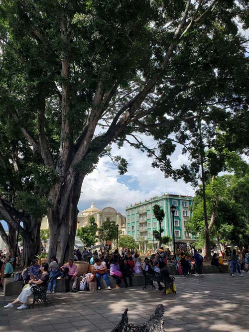 Zócalo/Plaza de la Constitución, Oaxaca, México, August 17, 2023