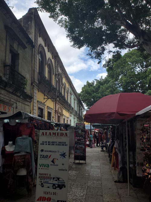 Zócalo/Plaza de la Constitución, Oaxaca, México, August 23, 2023
