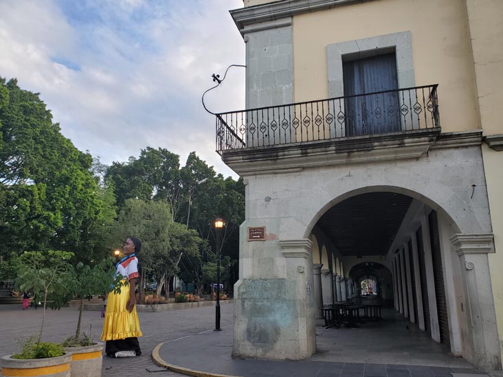 Zócalo/Plaza de la Constitución, Oaxaca, México, August 24, 2023