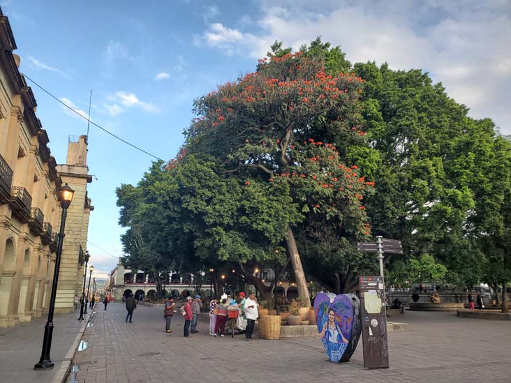 Zócalo/Plaza de la Constitución, Oaxaca, México, August 24, 2023