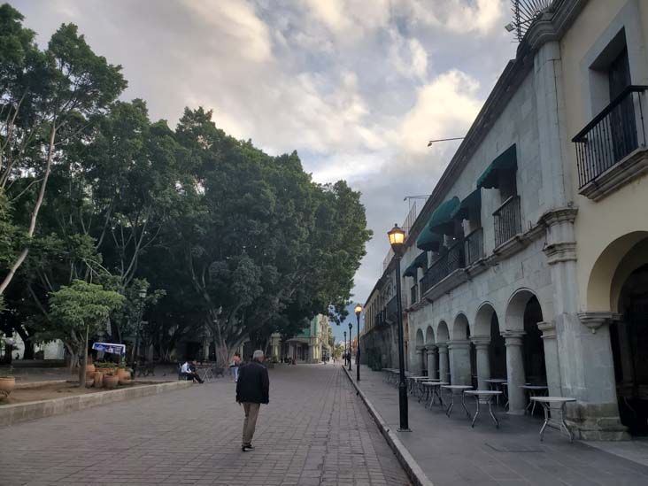 Zócalo/Plaza de la Constitución, Oaxaca, México, August 24, 2023