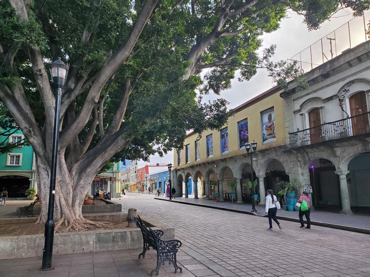 Zócalo/Plaza de la Constitución, Oaxaca, México, August 24, 2023