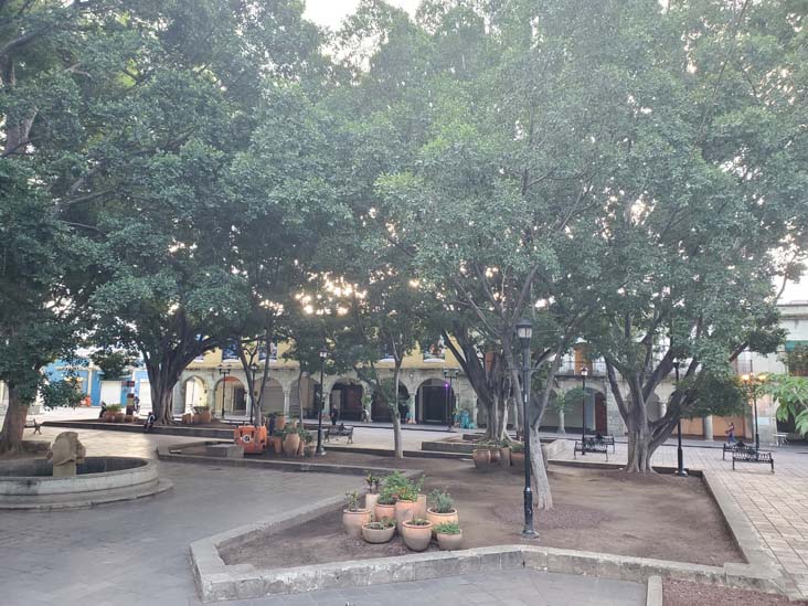 View From Quiosco de Oaxaca, Zócalo/Plaza de la Constitución, Oaxaca, México, August 24, 2023