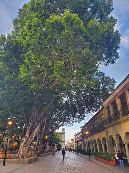 Zócalo/Plaza de la Constitución, Oaxaca, México, August 24, 2023