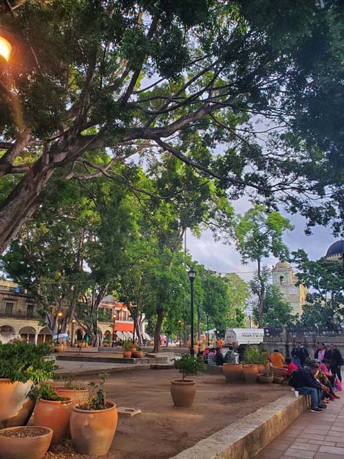 Zócalo/Plaza de la Constitución, Oaxaca, México, August 24, 2023