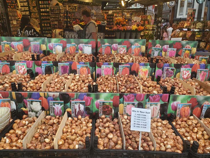 Bloemenmarkt Flower Market, Singel Canal, Amsterdam, Netherlands, July 19, 2025
