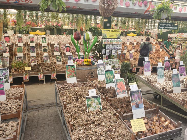 Bloemenmarkt Flower Market, Singel Canal, Amsterdam, Netherlands, July 19, 2025