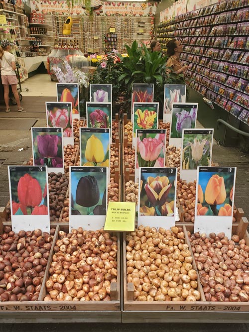 Bloemenmarkt Flower Market, Singel Canal, Amsterdam, Netherlands, July 19, 2025