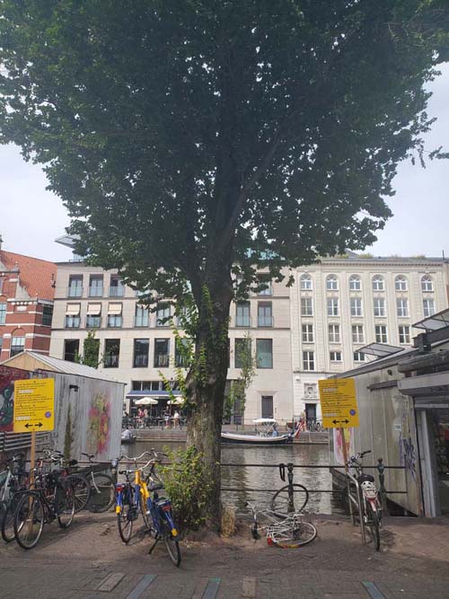 Bloemenmarkt Flower Market, Singel Canal, Amsterdam, Netherlands, July 19, 2025