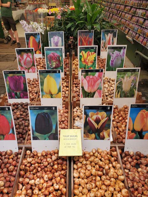 Bloemenmarkt Flower Market, Singel Canal, Amsterdam, Netherlands, July 20, 2025