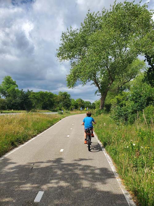 Bikepath, N200, Nationaal Park Zuid-Kennemerland Near Bloemendaal aan Zee, Netherlands, July 21, 2025