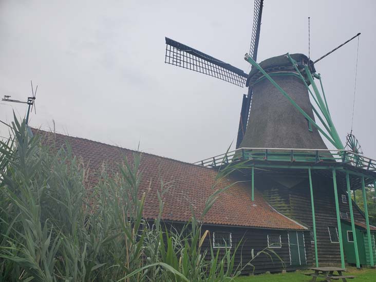 Het Pink, Pinkstraat 12, Koog aan de Zaan, Netherlands, July 20, 2025