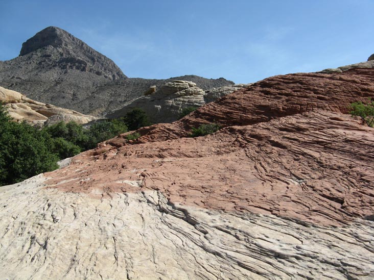 Calico Hills, Red Rock Canyon National Conservation Area, Las Vegas, Nevada