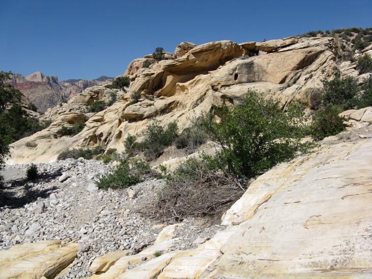 Calico Hills, Red Rock Canyon National Conservation Area, Las Vegas, Nevada