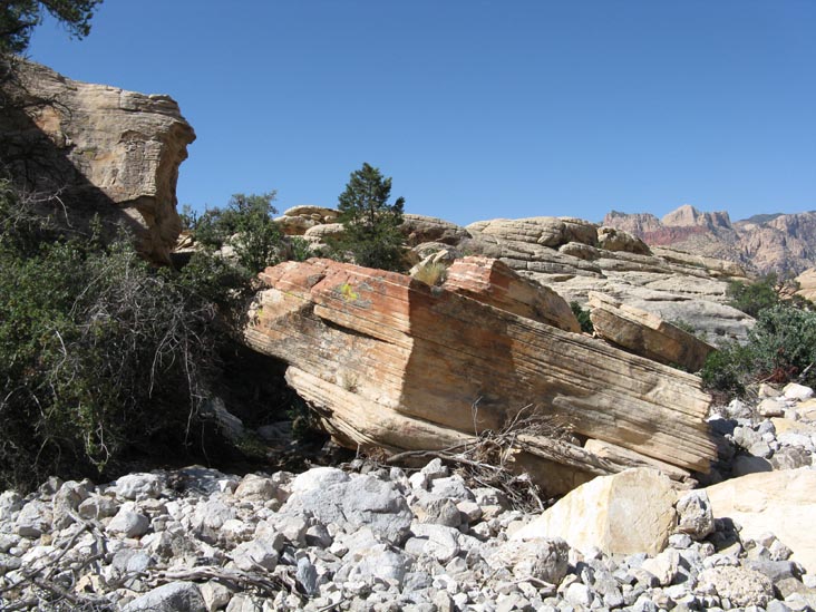 Calico Hills, Red Rock Canyon National Conservation Area, Las Vegas, Nevada