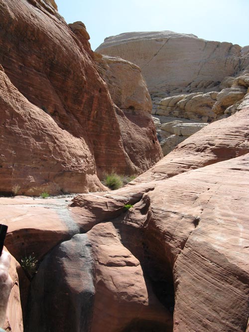 Calico Hills, Red Rock Canyon National Conservation Area, Las Vegas, Nevada