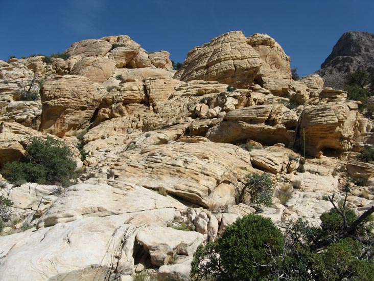 Calico Hills, Red Rock Canyon National Conservation Area, Las Vegas, Nevada