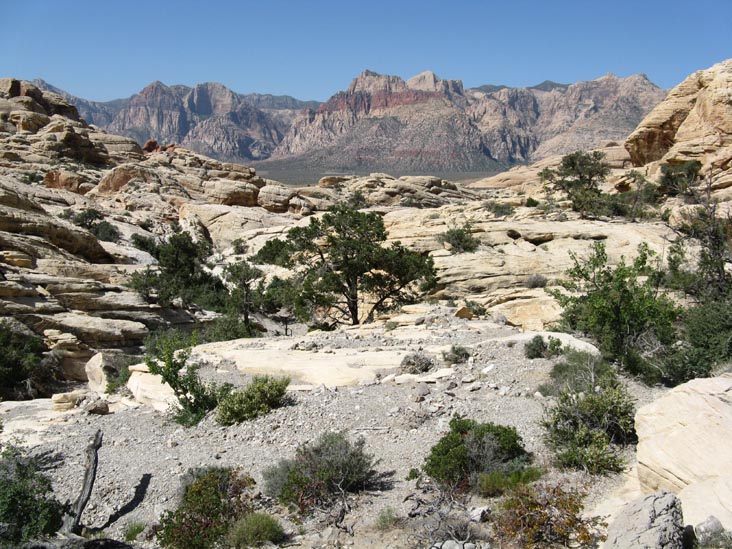 Calico Hills, Red Rock Canyon National Conservation Area, Las Vegas, Nevada
