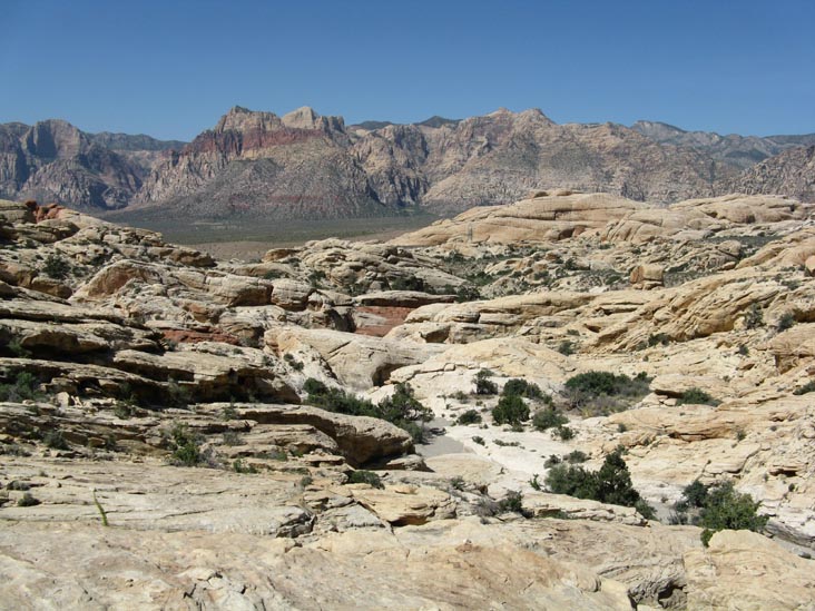 Calico Hills, Red Rock Canyon National Conservation Area, Las Vegas, Nevada