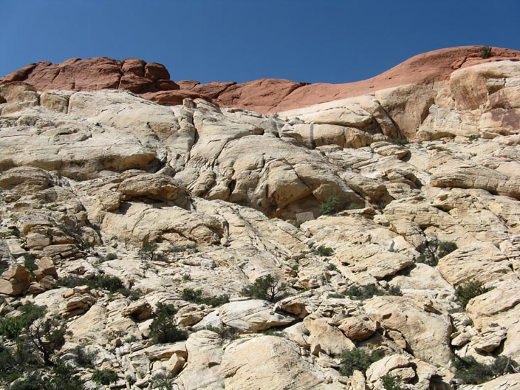 Calico Hills, Red Rock Canyon National Conservation Area, Las Vegas, Nevada
