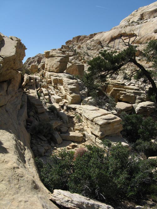 Calico Hills, Red Rock Canyon National Conservation Area, Las Vegas, Nevada