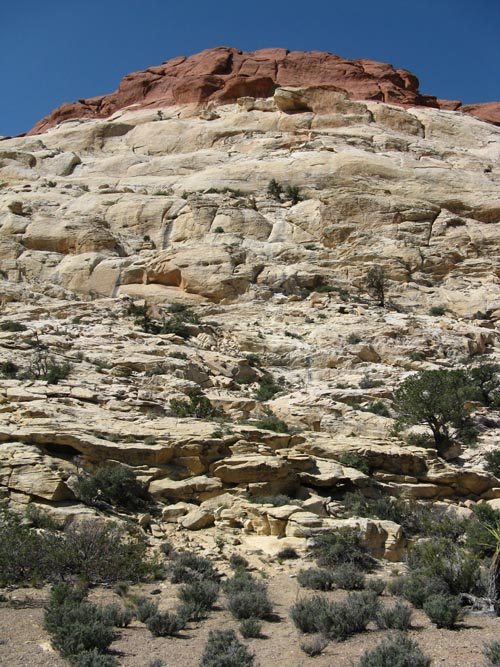 Calico Hills, Red Rock Canyon National Conservation Area, Las Vegas, Nevada