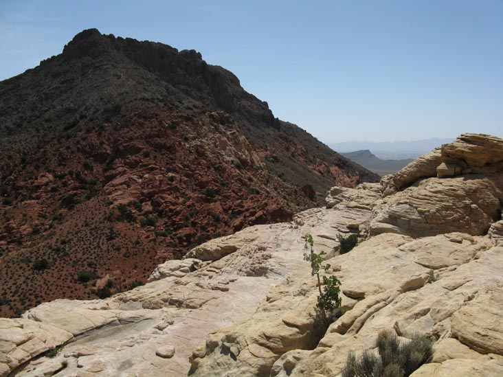 Calico Hills, Red Rock Canyon National Conservation Area, Las Vegas, Nevada