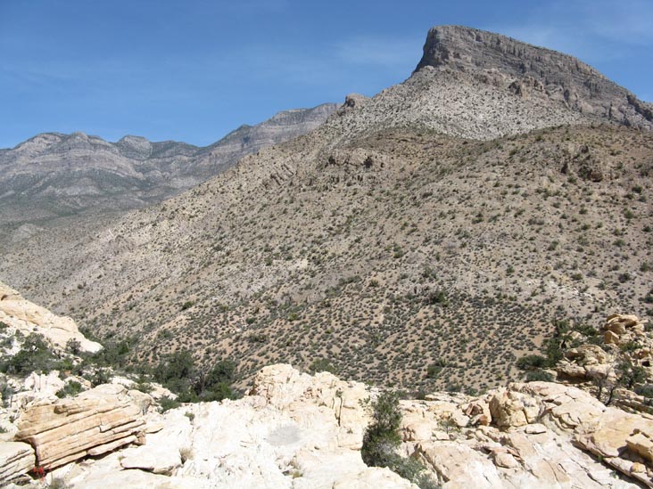 Turtlehead Peak From Calico Hills, Red Rock Canyon National Conservation Area, Las Vegas, Nevada