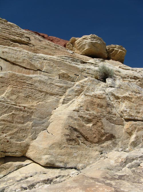 Calico Hills, Red Rock Canyon National Conservation Area, Las Vegas, Nevada