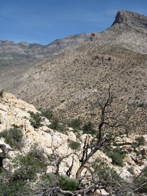 Turtlehead Peak From Calico Hills, Red Rock Canyon National Conservation Area, Las Vegas, Nevada