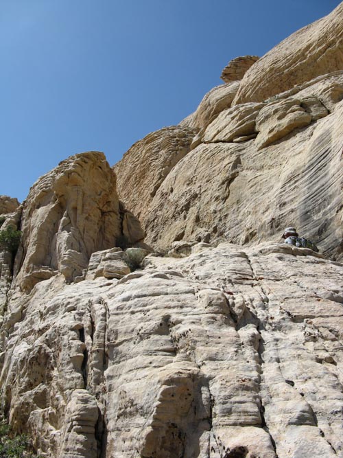 Calico Hills, Red Rock Canyon National Conservation Area, Las Vegas, Nevada
