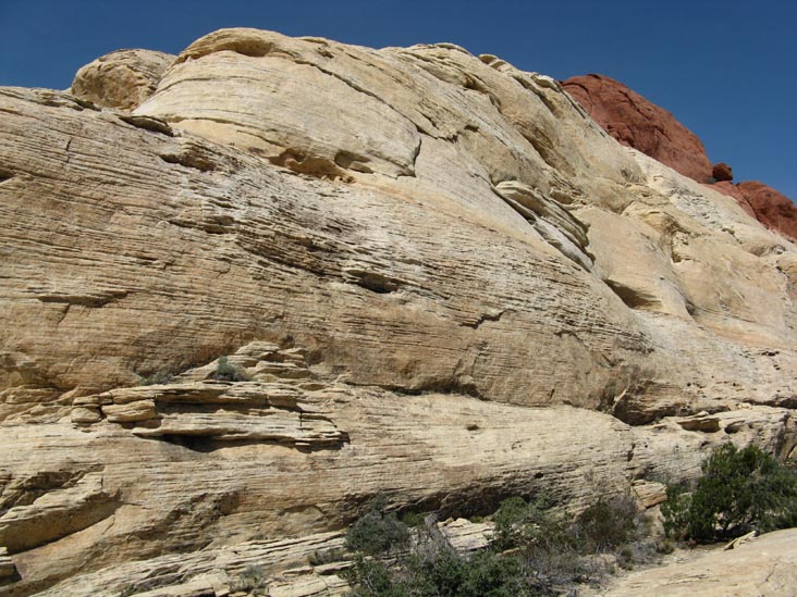 Calico Hills, Red Rock Canyon National Conservation Area, Las Vegas, Nevada