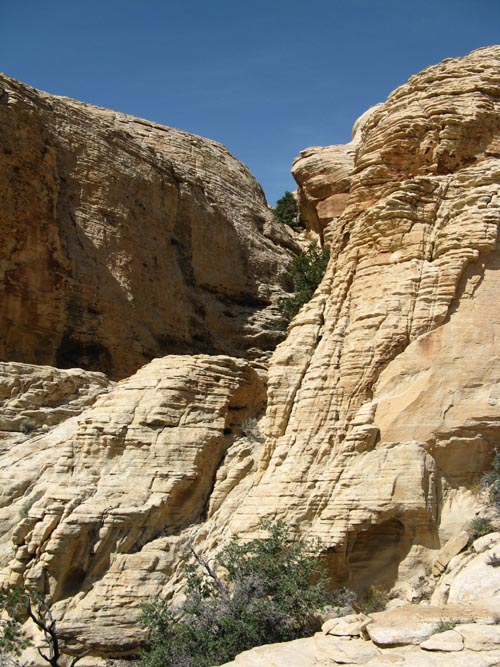 Calico Hills, Red Rock Canyon National Conservation Area, Las Vegas, Nevada