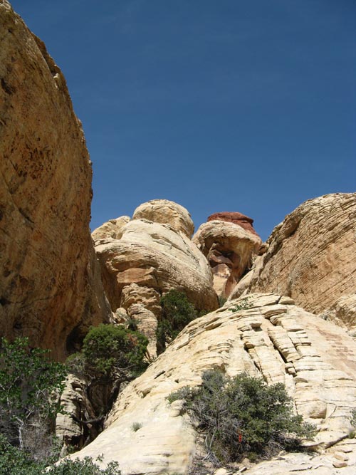 Calico Hills, Red Rock Canyon National Conservation Area, Las Vegas, Nevada