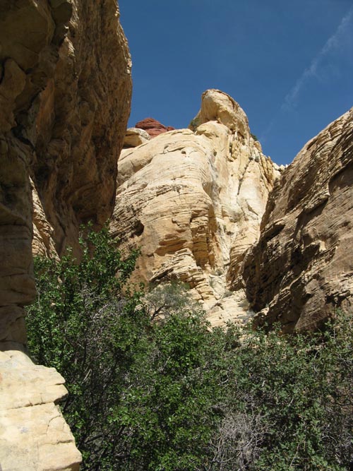 Calico Hills, Red Rock Canyon National Conservation Area, Las Vegas, Nevada